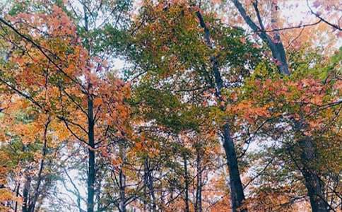 �����㻳����