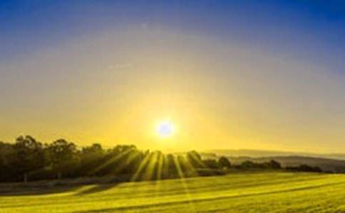 �ճ���������