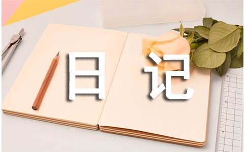 有关社会实践日记范文汇编五篇