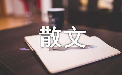 风雨感悟散文