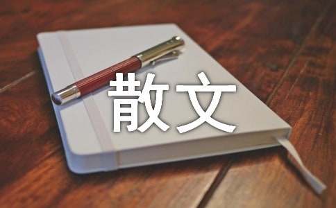 观照心灵规划人生散文