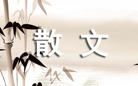 感悟生命的散文