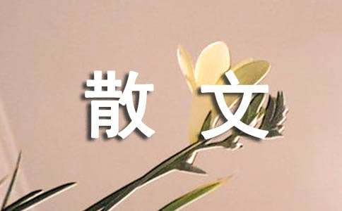 人生规划说散文