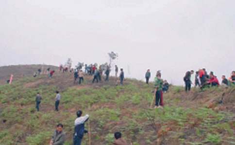 (����)ɨĹ��������