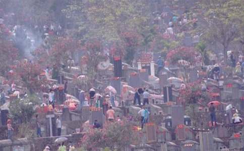 ɨĹ��������(����)