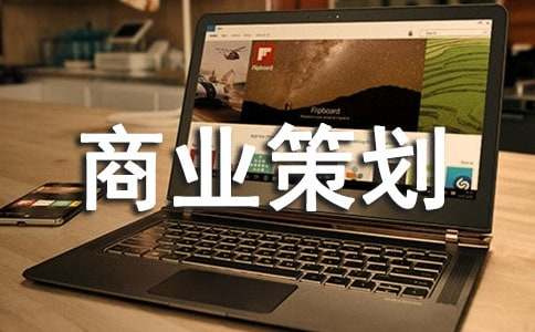 电商商业策划书