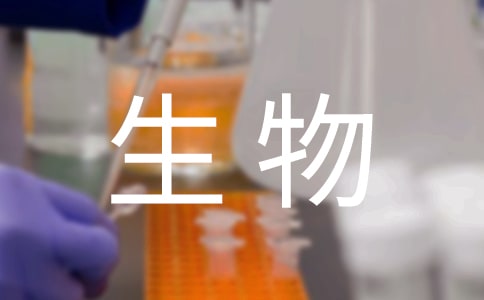 中学生物学科工作计划