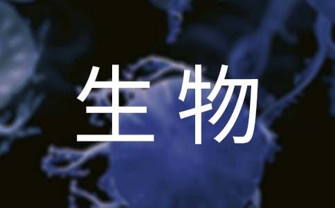 病媒生物调查报告