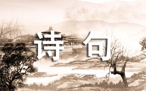 感悟人生的诗句240句
