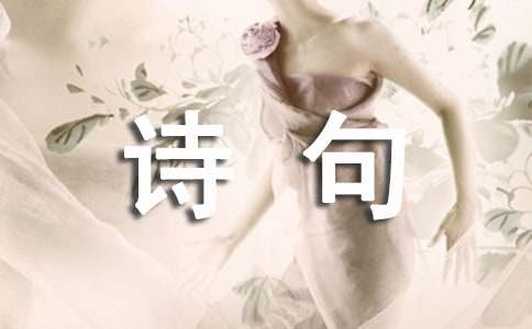 关于形容爱一个人的诗句介绍