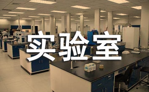 物理实验室工作总结15篇