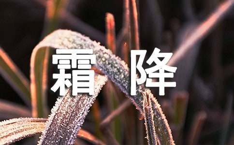 霜降节气问候语46句