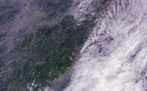 (精选)抗击台风工作总结11篇