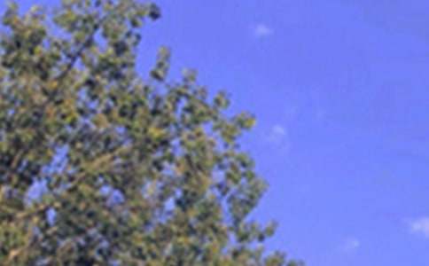 ��ܰ���簲QQ�ʺ�������90��