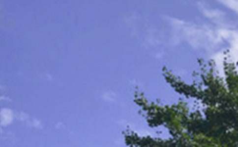 午安问候语锦集93句