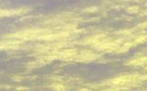 2026��Ψ�����簲�ʺ�����ż���36��