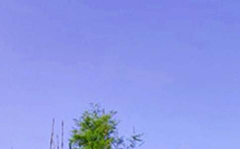 2026������ϵ�簲΢���ʺ���ϼ�72��