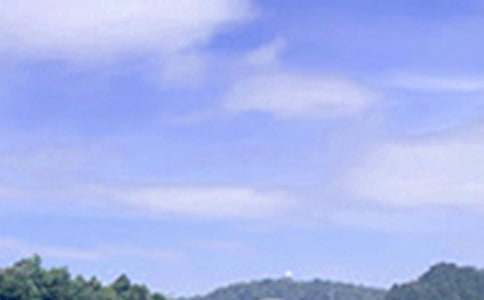 2026����ܰ���簲΢���ʺ������75��