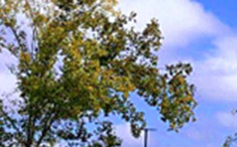 2026����ů���簲�ʺ������86��