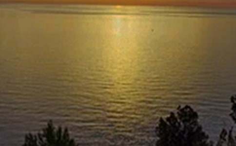 ����ϵ�簲�ʺ�����36��