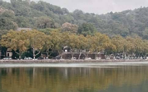 ������ѩ���ĵ���� �������ĵ����ʵ��