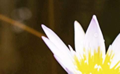 2026�������ʺ���38��