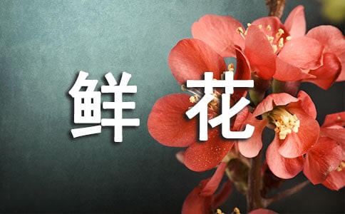 送长辈鲜花的贺卡祝福语