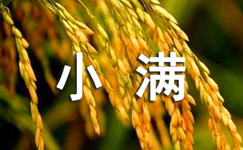 С�����ֵ�ף�ʴ�ȫ����ѡ50�䣩