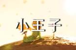 最新《小王子》心得体会