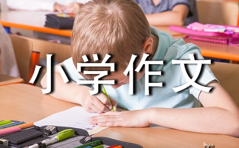 感悟小学作文(15篇)