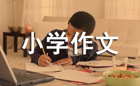 自我介绍小学作文集合15篇