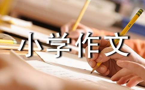 小学作文:自我介绍