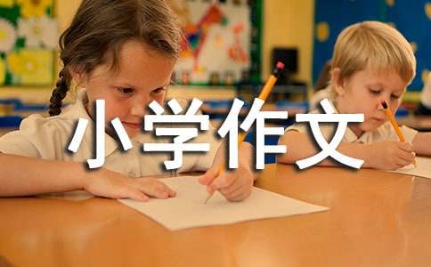 自我介绍的小学作文参考