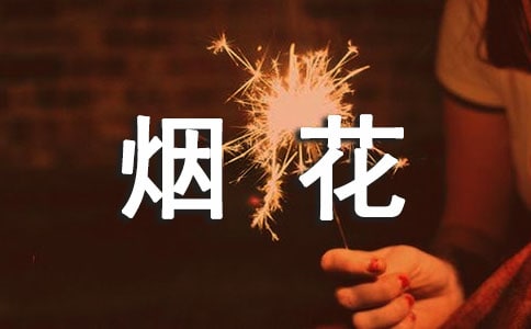 烟花爆竹活动总结