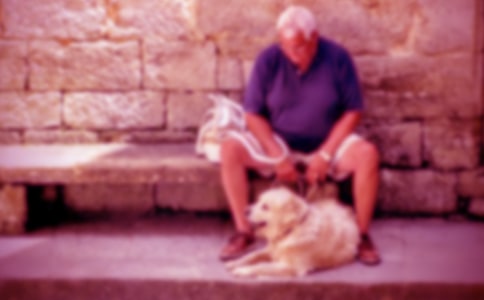 үү��ʮ����ף�ʣ�ͨ��21ƪ��