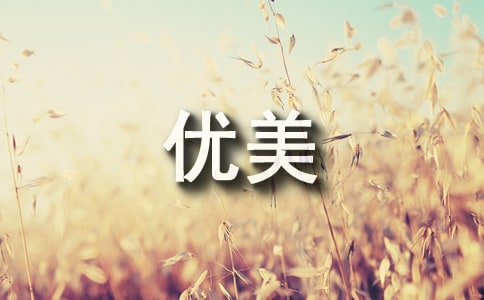 感悟丰收优美作文