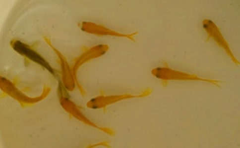 [�ر�]���繺����ͬ15ƪ