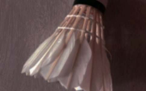 ��ë���ĵ����