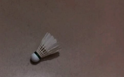 �༶��ë�����߻��飨������