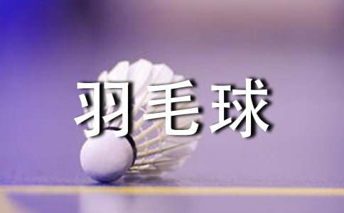 大学羽毛球比赛的策划书范文(通用9篇)