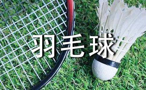 羽毛球赛策划书