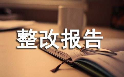 售后服务整改报告写作范本必备