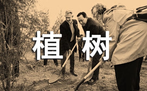 义务植树活动总结
