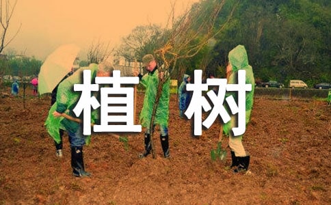 县义务植树造林示范基地实施方案
