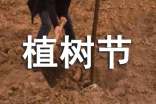 大学生植树节策划书