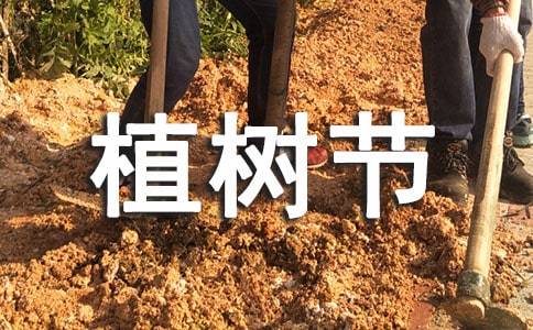 幼儿园植树节活动总结小班