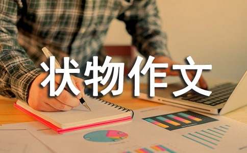 小升初状物作文的写作技巧总结