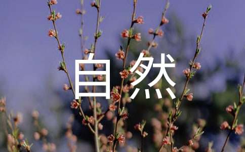 感悟大自然作文
