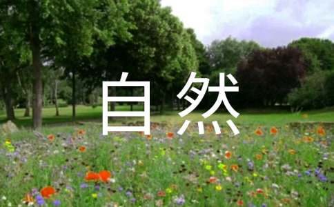 感悟大自然作文精选15篇