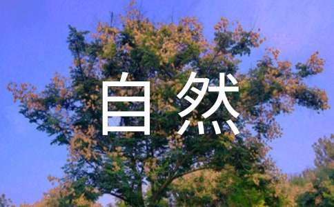 对大自然的感悟作文800字